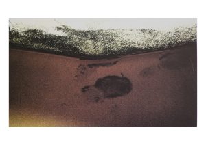 Read more about the article Mannor Margalit